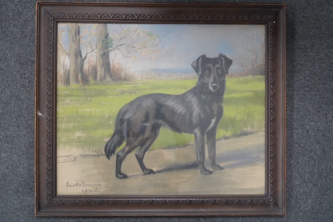 Vera Browne, pastel, Study of a dog, 43 x 53cm. Condition - fair - good, some wear to frame